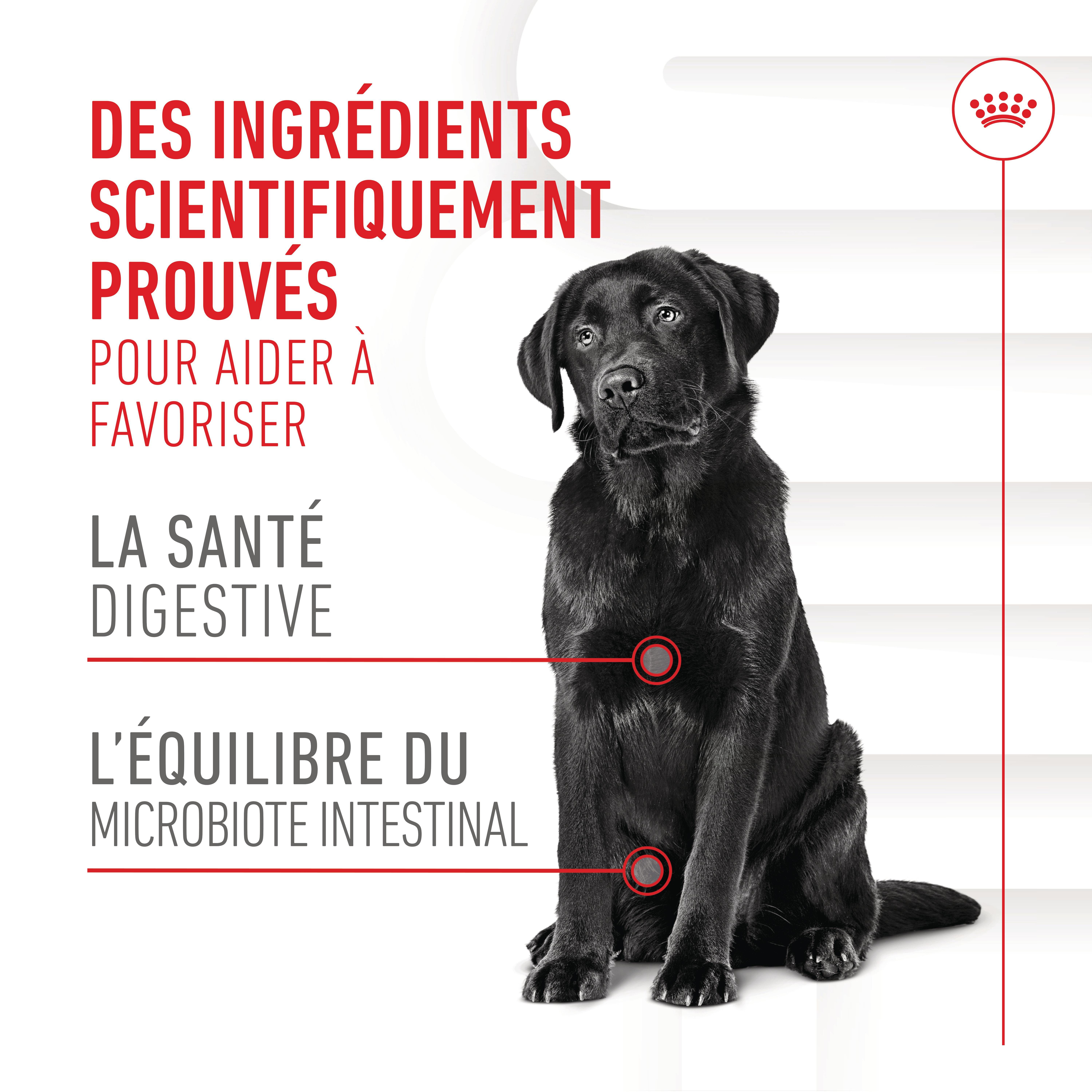 Royal Canin - Aliment Compl&eacute;mentaire Adult Digestion Chews pour Chiens - 160g Image num&eacute;ro 4