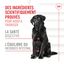 Royal Canin - Aliment Complémentaire Adult Digestion Chews pour Chiens - 160g Indicateur image numéro 4