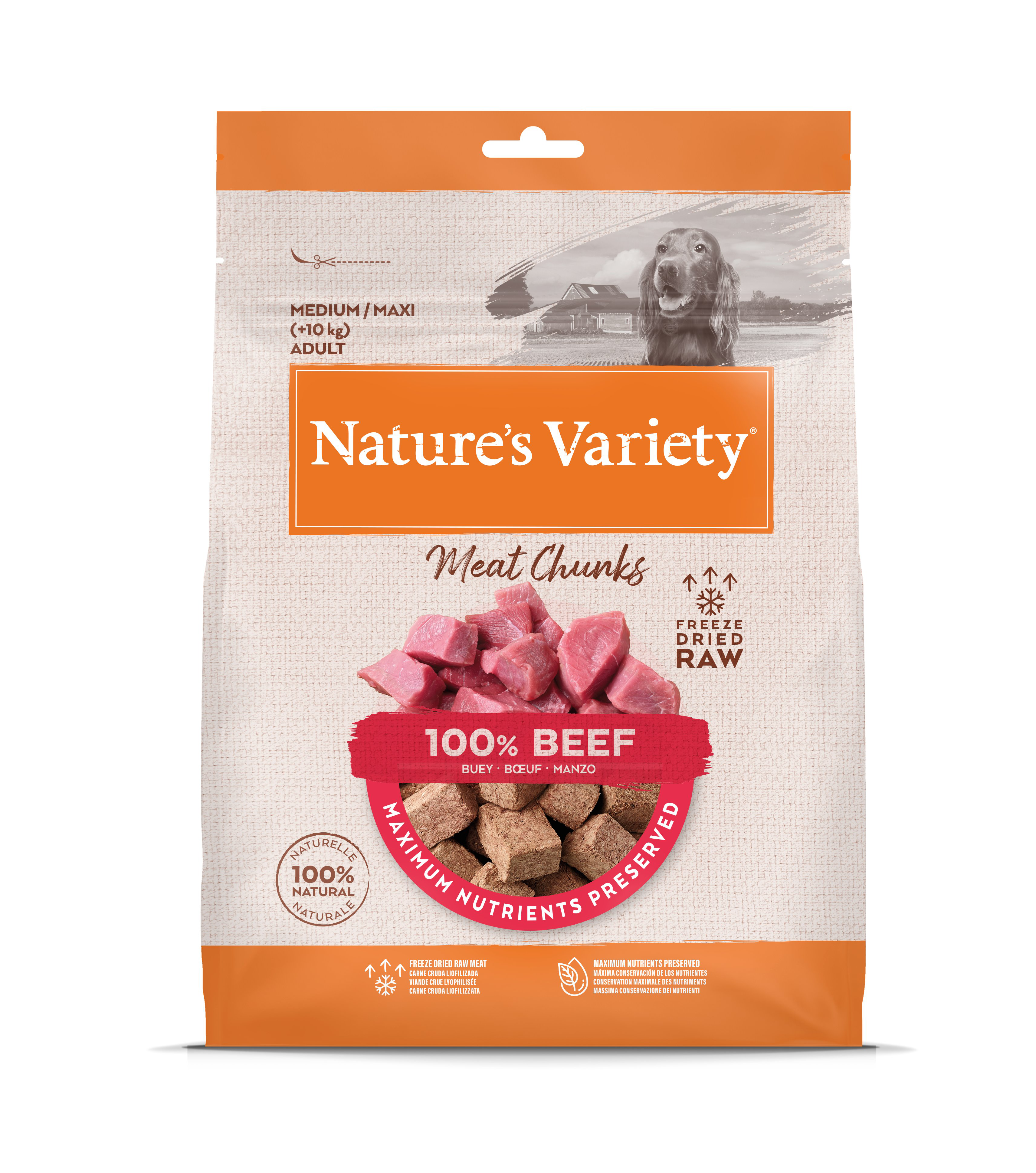 Nature's Variety - Bouch&eacute;es Cube de Viandes Freeze au Boeuf pour Chiens - 50g Image num&eacute;ro 1