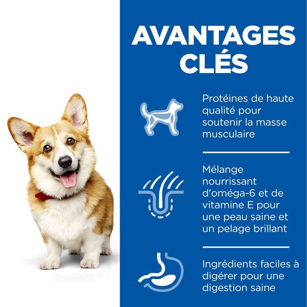 Hill's Science Plan - Adult Small & Mini Croquettes Pour Petit Chien Au Poulet  -  1,5kg Image num&eacute;ro 6