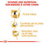 Royal Canin - Croquettes Beagle Adult pour Chien - 12Kg Indicateur image numéro 4