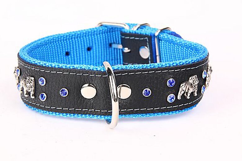 Yogipet - Collier Bulldog Cuir Crystal T65 48/58cm pour Chien - Bleu image number null
