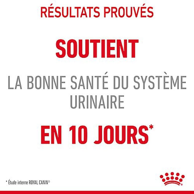 Royal Canin - Croquettes Urinary Care pour Chat - 2 Kg Image numéro 3 Royal Canin - Croquettes Urinary Care pour Chat - 2 Kg Image numéro 3