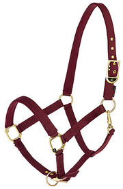 Covalliero - Licol Réglable Classy Merlot