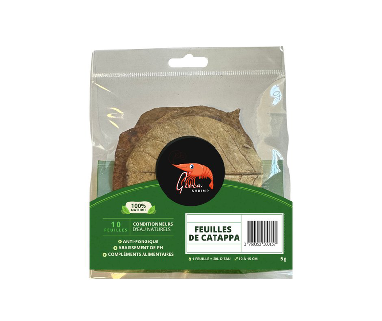 Gioiashrimp - Feuilles de Catappa pour Crevettes - x10 Image numéro 1 Gioiashrimp - Feuilles de Catappa pour Crevettes - x10 Image numéro 1