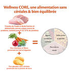 Wellness CORE - Croquettes Senior Dinde et Poulet pour Chien - 1,8Kg image number null