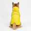 Gotoo - Imperm&eacute;able Jaune R&eacute;fl&eacute;chissant pour Chiens - 40cm Indicateur image num&eacute;ro 10