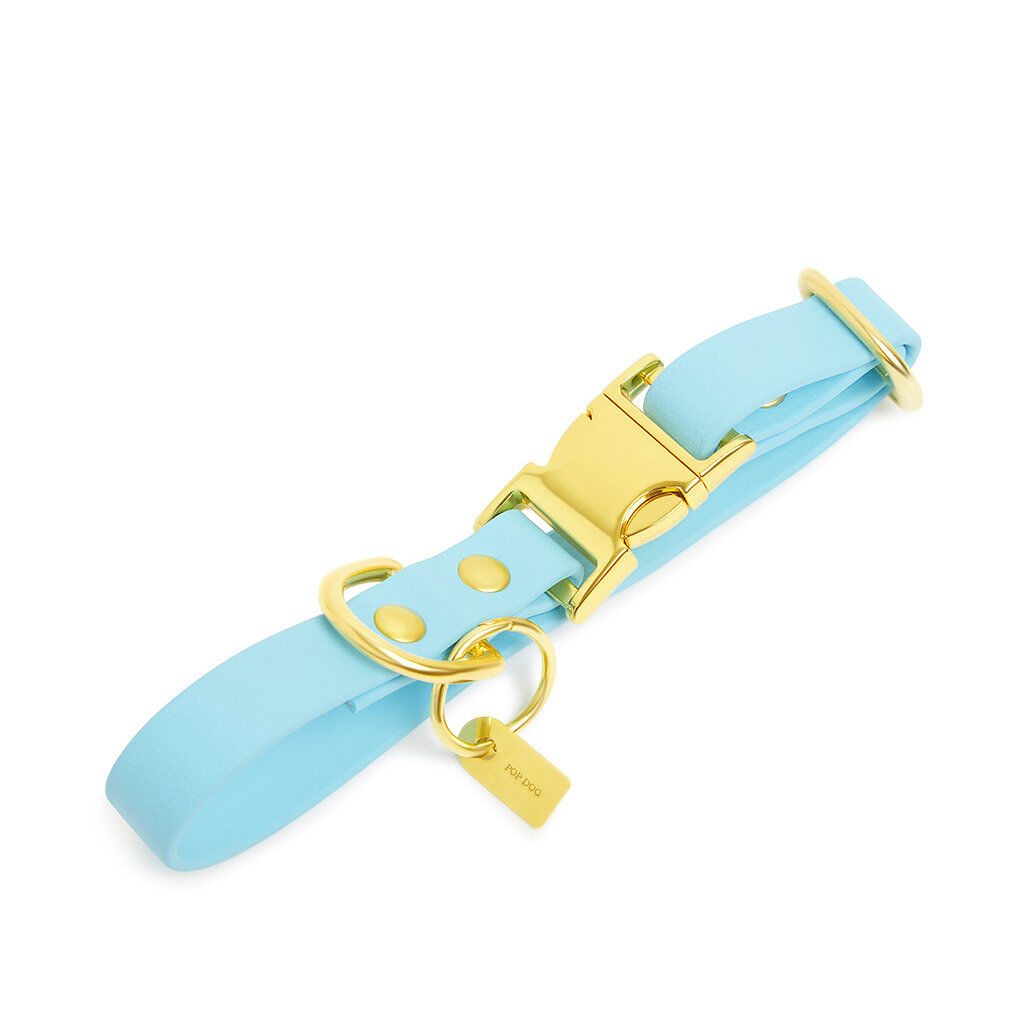 Pop Dog - Collier Dragueur Bleu pour Chien - S Image num&eacute;ro 1