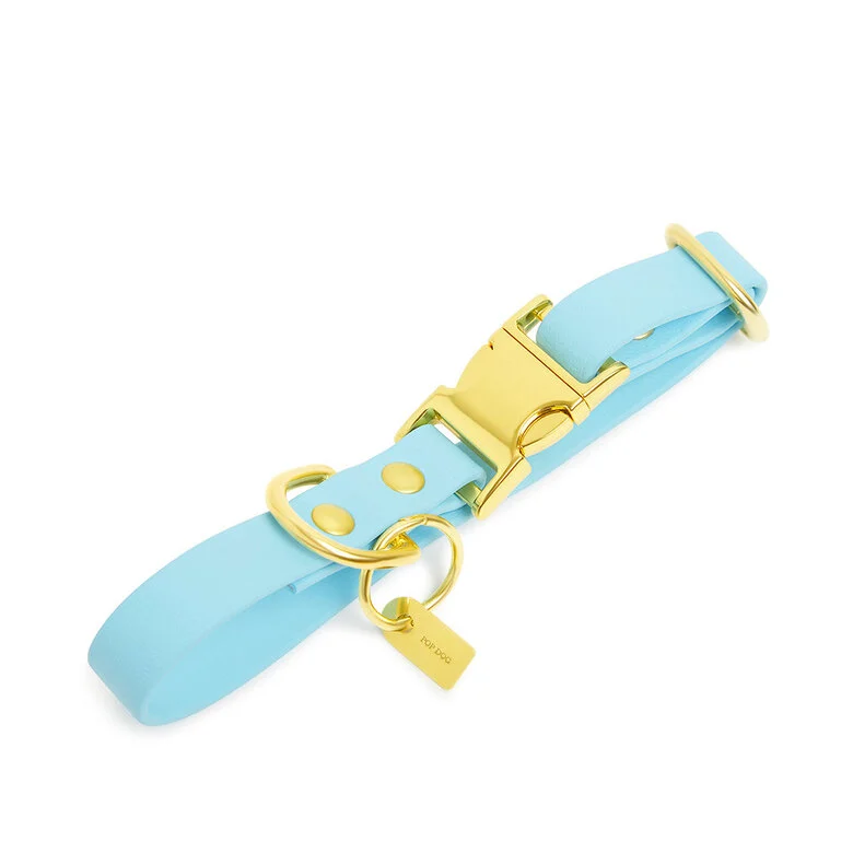 Pop Dog - Collier Dragueur Bleu pour Chien - S Image numéro 1 Pop Dog - Collier Dragueur Bleu pour Chien - S Image numéro 1