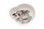 Ferribiella - Etui 2 Bols Aquarelle pour Chiens - 450mlx2 Indicateur image numéro 3