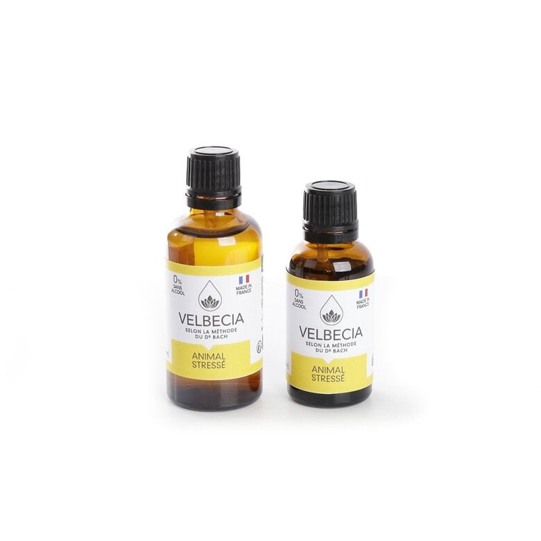 Velbecia - Fleur de Bach Stress pour Chiens et Chats - 30ml Image numéro 1 Velbecia - Fleur de Bach Stress pour Chiens et Chats - 30ml Image numéro 1