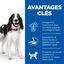Hill's Science Plan - Adult Boite Pour Chien Au Bœuf  - 370g Indicateur image numéro 3