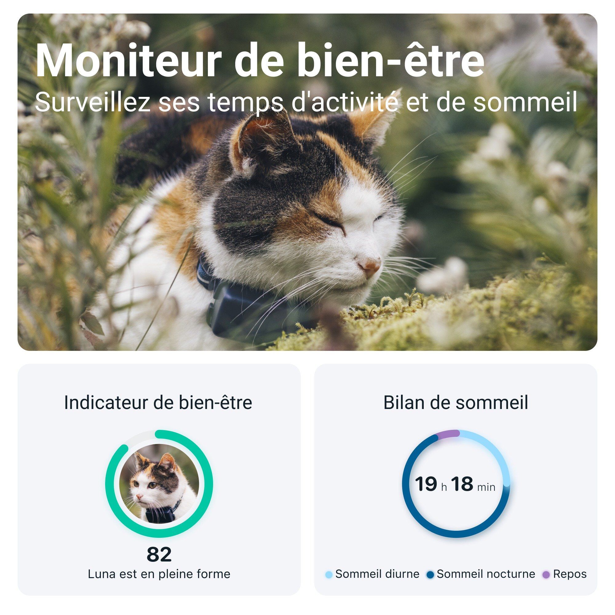 Tractive - Traceur GPS CAT mini pour Chats - 25g Image num&eacute;ro 5