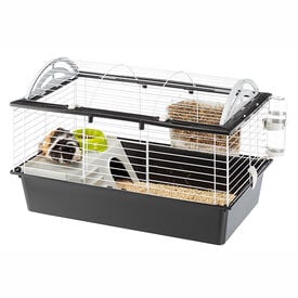 Ferplast - Cage Casita 80 pour Grands Rongeurs - 78cm