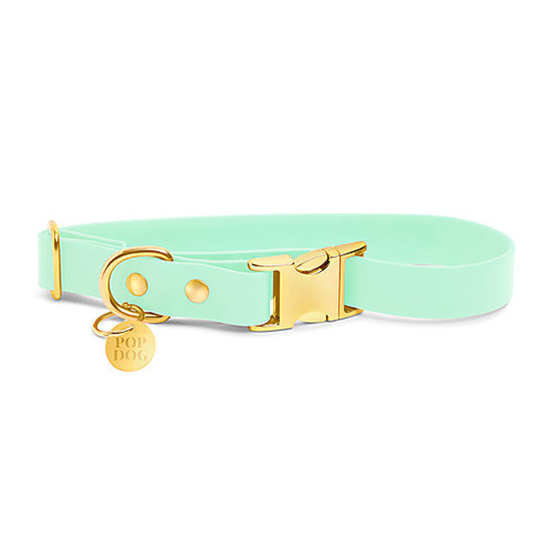 Pop Dog - Collier Swimmy Vert pour Chien - S image number null
