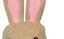 Tootoy! - Chiot Set Lapin Indicateur image numéro 2