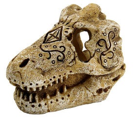 Superfish - Décoration Préhistorique SKULL T REX pour Aquarium - S