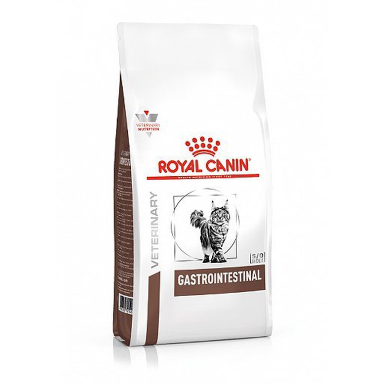 Royal Canin - Croquettes Veterinary Diet Gastro Intestinal pour Chat - 2Kg image number null