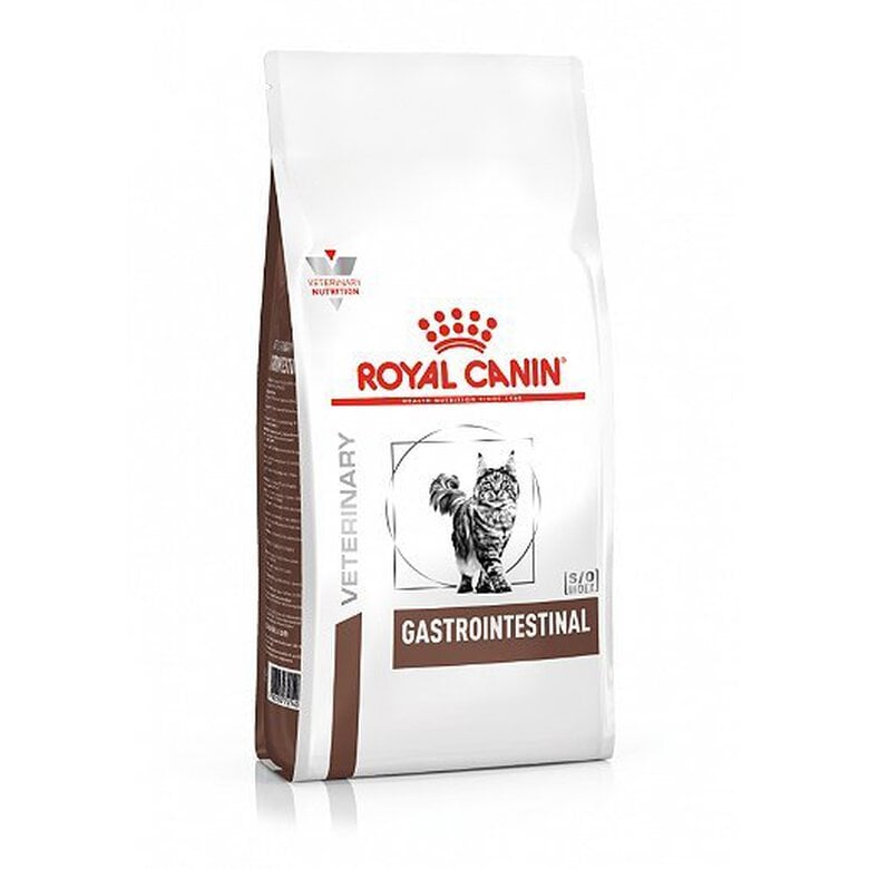Royal Canin - Croquettes Veterinary Diet Gastro Intestinal pour Chat - 2Kg image number null