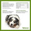 Whimzees - Friandises Brosse à Dents Dog Treats XS pour Chien - x48 Indicateur image numéro 5
