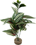 Labeo - Plante Verte Assortie Décorative pour Terrarium Indicateur image numéro 2