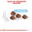 Royal Canin - Croquettes Mother & Babycat pour Chaton - 2Kg Indicateur image num&eacute;ro 5
