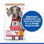 Hill's Science Plan - No Grain Adult Croquettes Sans Céréales Chien Adulte Grande Race Poulet -12kg Indicateur image numéro 2