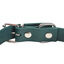 Gotoo - Collier Premium Biotane Vert pour Chien - S Indicateur image numéro 2