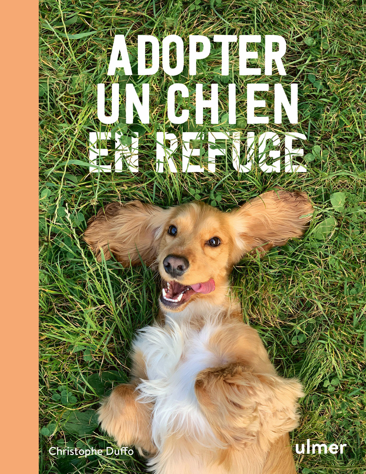 Adopter un chien en refuge Image num&eacute;ro 1