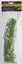 Zoomed - Plante Bolivian pour Terrarium Indicateur image numéro 2