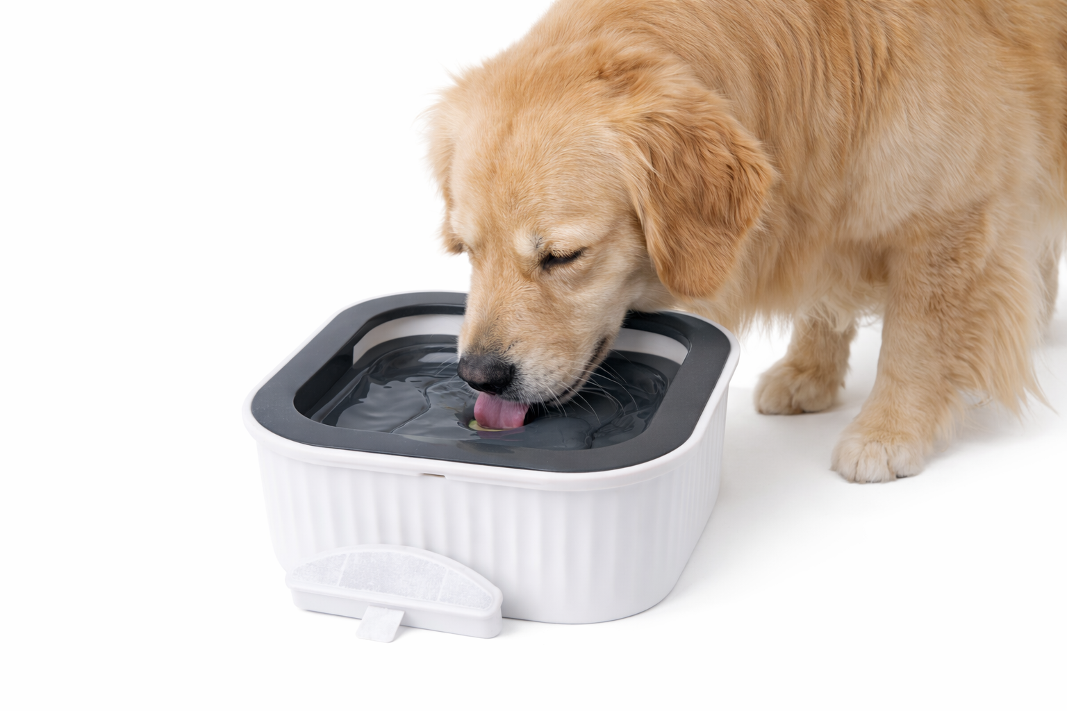 Leeby - Gamelle &agrave; Eau Anti-Eclaboussures pour Chiens - 1,8L Image num&eacute;ro 3