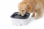 Leeby - Gamelle &agrave; Eau Anti-Eclaboussures pour Chiens - 1,8L Indicateur image num&eacute;ro 3