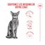 Royal Canin - Croquettes Fussy Exigent pour Chats Difficiles - 2Kg Indicateur image num&eacute;ro 13