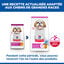 Hill's Science Plan - Mature Adult Small & Mini Croquettes Pour Petit Chien Ag&eacute; Au Poulet  -  1,5kg Indicateur image num&eacute;ro 4