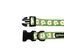 Gotoo - Collier à motif Oeuf Vert pour Chien - XS Indicateur image numéro 2