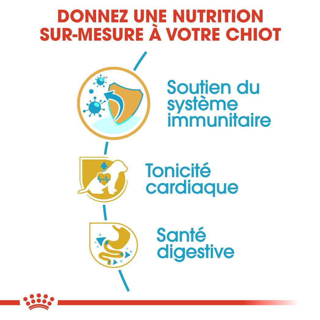 Royal Canin - Croquettes Cavalier King Charles Junior pour Chiot - 1,5Kg Image num&eacute;ro 5