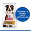 Hill's Science Plan - Adult Healthy Mobility Croquettes Pour Chien Au Poulet  - 12kg Indicateur image numéro 2