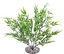 Labeo - Fond de décor - Plante Artificielle Aquarium Indicateur image numéro 1