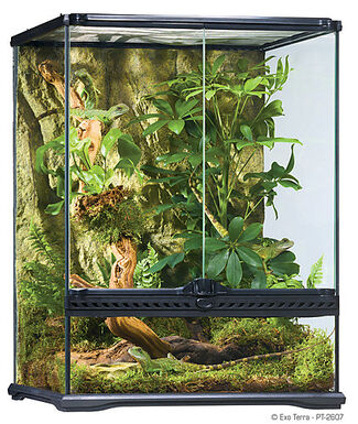 Exo Terra - Terrarium en Verre pour Reptile - 45x45x60cm