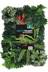 Repto - Décoration Repto Plant Back Wall Mat 40-60 Cm 3 Repto - Décoration Repto Plant Back Wall Mat 40-60 Cm 3
