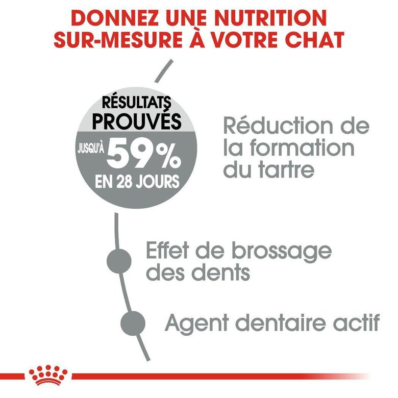 Royal Canin - Croquettes Dental Sensitive Care pour Chat - 1,5Kg Image numéro 3 Royal Canin - Croquettes Dental Sensitive Care pour Chat - 1,5Kg Image numéro 3