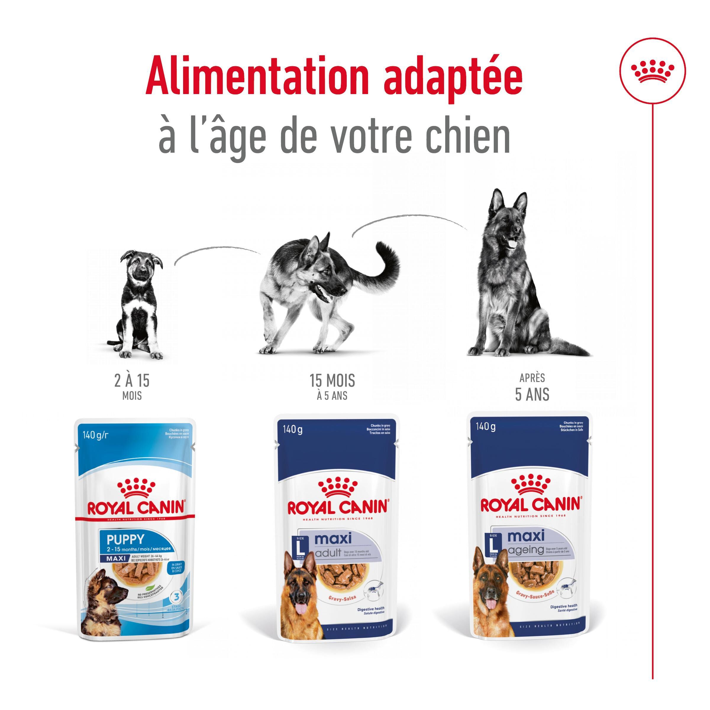 ROYAL CANIN - SACHET FRAICHEUR MAXI AGEING en sauce POUR CHIENS SENIORS - 10x140 Image num&eacute;ro 6