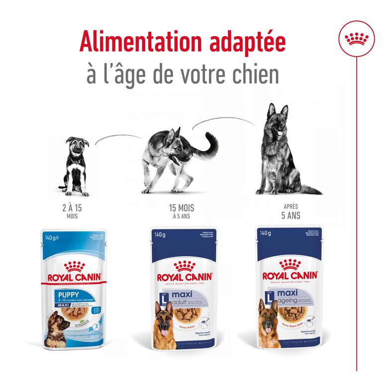 ROYAL CANIN - SACHET FRAICHEUR MAXI AGEING en sauce POUR CHIENS SENIORS - 10x140 Image numéro 6 ROYAL CANIN - SACHET FRAICHEUR MAXI AGEING en sauce POUR CHIENS SENIORS - 10x140 Image numéro 6