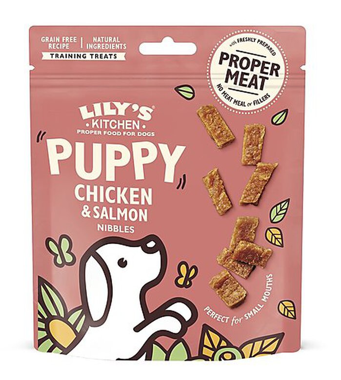Lily's Kitchen - Friandises Petites Bouchées Poulet Saumon pour Chiot - 70g Image numéro 1 Lily's Kitchen - Friandises Petites Bouchées Poulet Saumon pour Chiot - 70g Image numéro 1