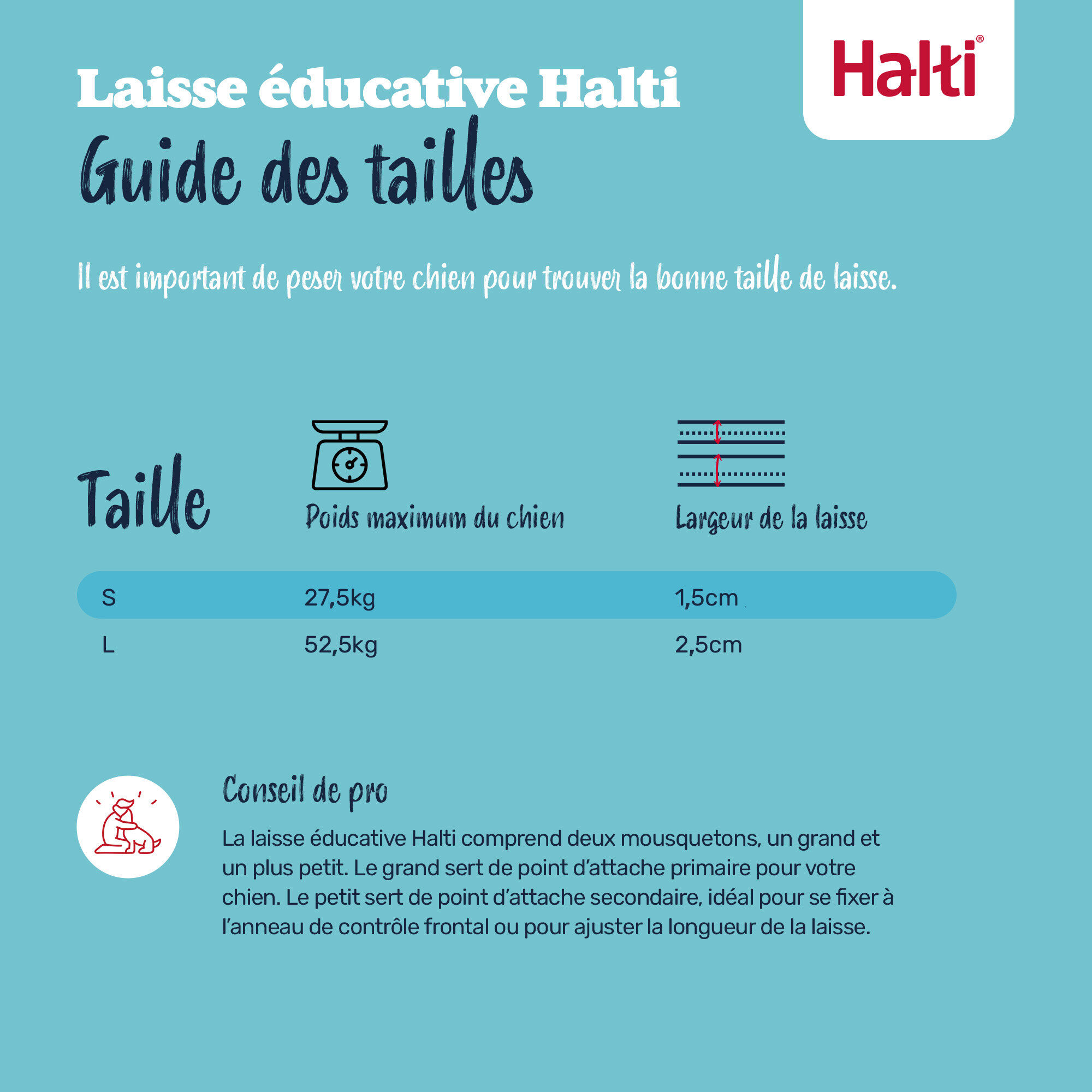 Halti - Laisse Educative Training Lead S pour Chiens - Noir Image num&eacute;ro 3