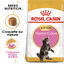 Royal Canin - Croquettes Maine Coon Kitten pour Chatons - 10Kg Indicateur image num&eacute;ro 1