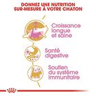 Royal Canin - Croquettes Maine Coon pour Chaton - 4Kg image number null