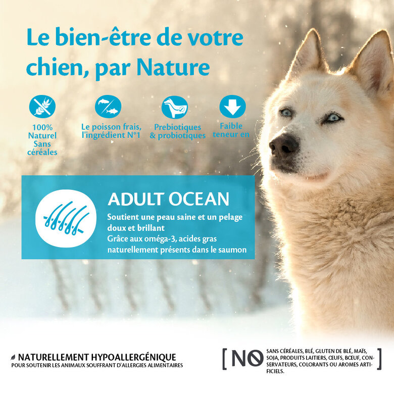 Wellness CORE - Croquettes Océan Saumon et Thon pour Chien - 10Kg Image numéro 2 Wellness CORE - Croquettes Océan Saumon et Thon pour Chien - 10Kg Image numéro 2
