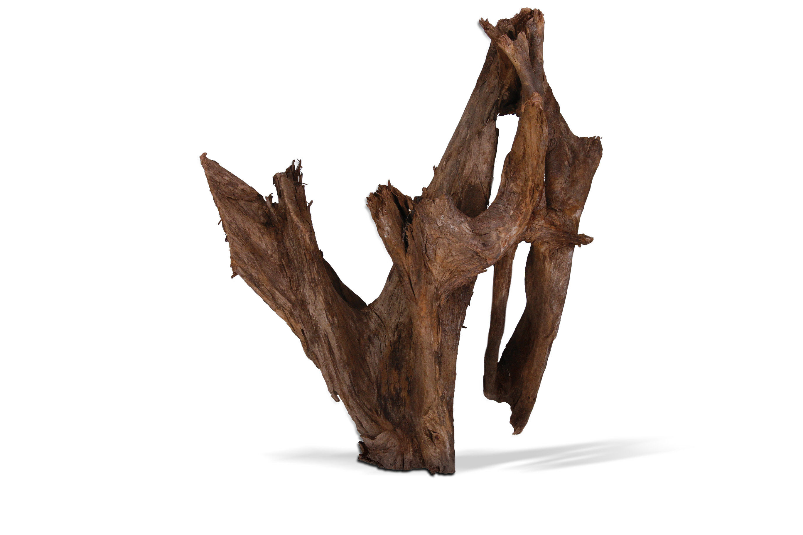 Aquavie - D&eacute;coration Racine Mangrove pour Aquarium - GM Image num&eacute;ro 1