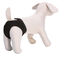 Croci - Culotte Hygiénique Doggy Pants Chaleurs pour Chiens - T35 Indicateur image numéro 1